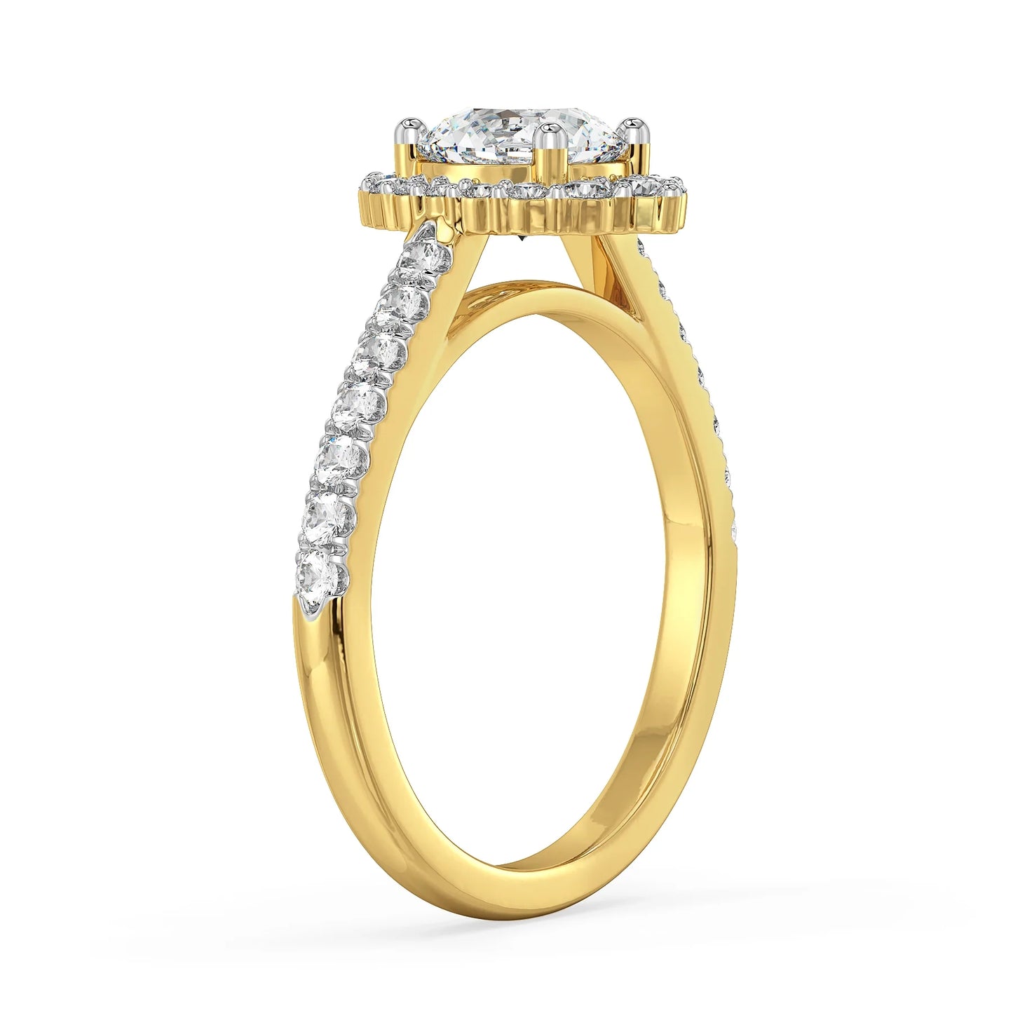 Fizy Halo Lab Grown Luxe Engagement Circle