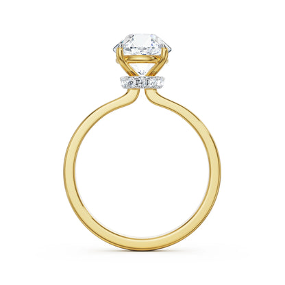 Grace Hidden Halo Lab Grown Radiant Band